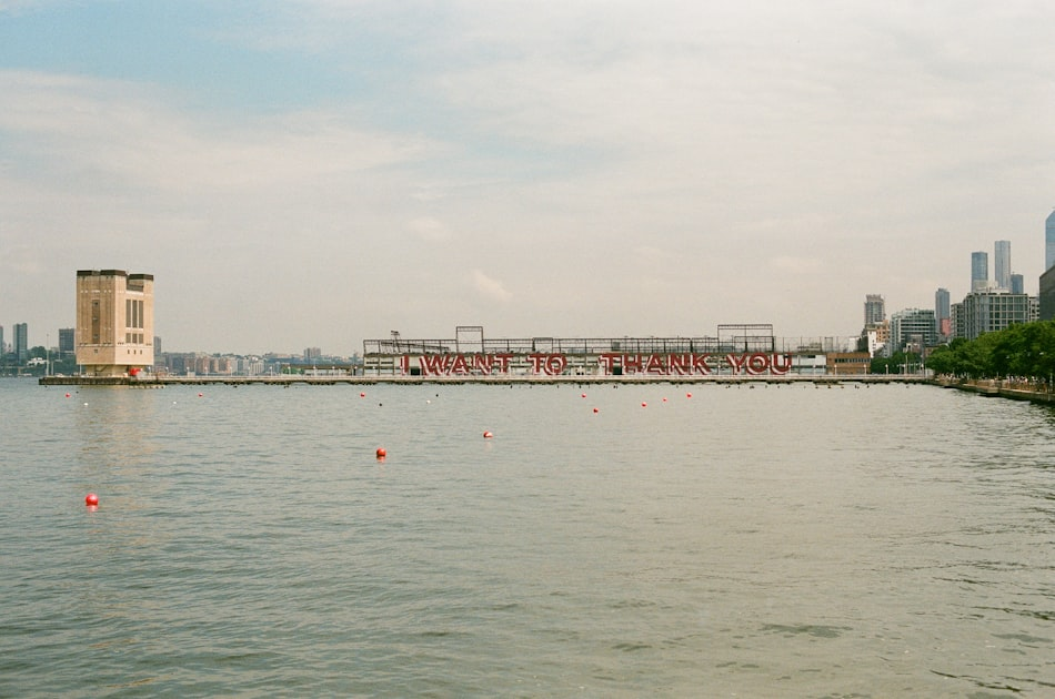 Community Gatherings at the Bay